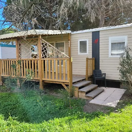 Campsite Bungalow Dans Une En Plein Air A L'elysee Vagues Oceanes 