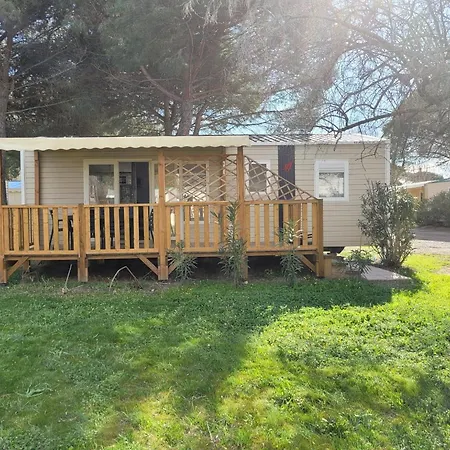 Bungalow Dans Une En Plein Air A L'elysee Vagues Oceanes 